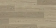Ocean — beach stone