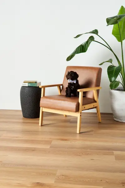 Berkeley Acoustic — lifestyle photo 3